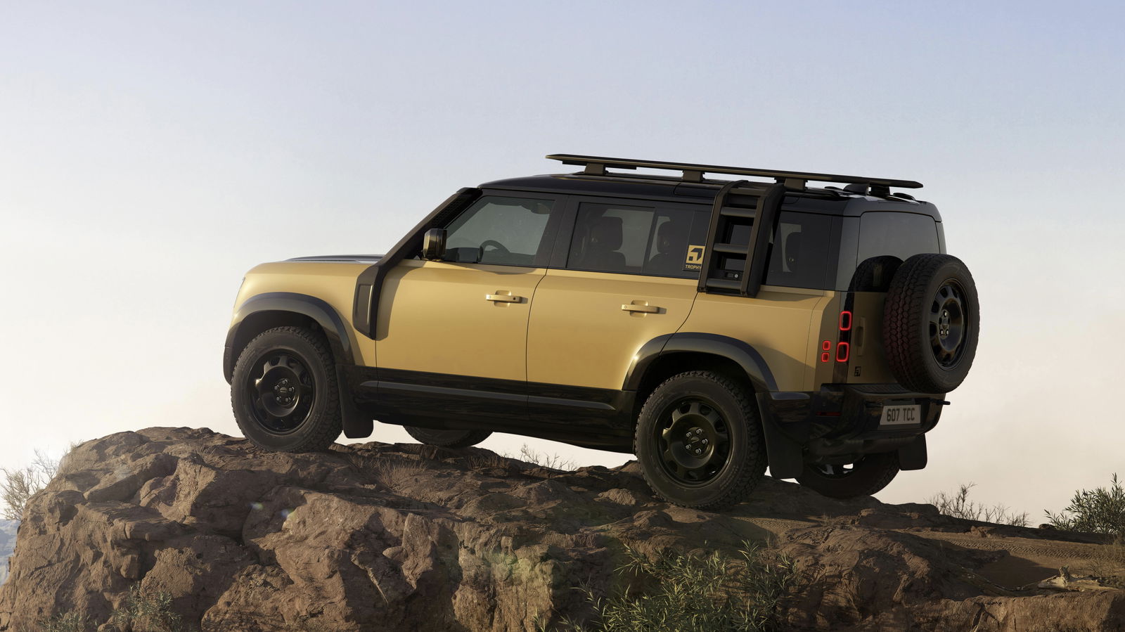 Defender 110 Trophy Edition - rear